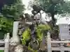 神田神社(神田明神)の{uncategorized: "未分類", other: "その他", undefined: "問題あり", building: "その他建物", grave: "お墓", sacred_gate: "鳥居", guardian: "狛犬", statue: "像", buddha: "仏像", history: "歴史", nature: "自然", garden: "庭園", animal: "動物", pagoda: "塔", temizu: "手水舎", mountain_gate: "山門・神門", sanctuary: "本殿・本堂", subordinate: "末社・摂社", art: "芸術", scenery: "景色", jizo: "地蔵", ema: "絵馬", goshuin: "御朱印", omikuji: "おみくじ", items: "授与品その他", amulet: "お守り", goshuincho: "御朱印帳", eats: "食事", festival: "お祭り", votive_dance: "神楽", shichigosan: "七五三参", wedding: "結婚式", experience: "体験その他", initially: "初詣", around: "周辺", anti_infection: "感染症対策"}