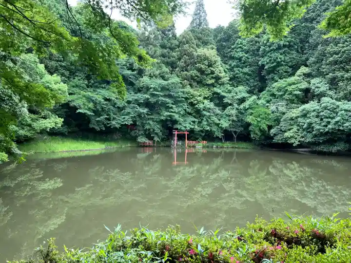八大龍王弁財天大神の{uncategorized: "未分類", other: "その他", undefined: "問題あり", building: "その他建物", grave: "お墓", sacred_gate: "鳥居", guardian: "狛犬", statue: "像", buddha: "仏像", history: "歴史", nature: "自然", garden: "庭園", animal: "動物", pagoda: "塔", temizu: "手水舎", mountain_gate: "山門・神門", sanctuary: "本殿・本堂", subordinate: "末社・摂社", art: "芸術", scenery: "景色", jizo: "地蔵", ema: "絵馬", goshuin: "御朱印", omikuji: "おみくじ", items: "授与品その他", amulet: "お守り", goshuincho: "御朱印帳", eats: "食事", festival: "お祭り", votive_dance: "神楽", shichigosan: "七五三参", wedding: "結婚式", experience: "体験その他", initially: "初詣", around: "周辺", anti_infection: "感染症対策"}