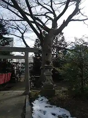 愛宕神社のその他建物
