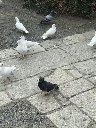 旗上弁財天社の{uncategorized: "未分類", other: "その他", undefined: "問題あり", building: "その他建物", grave: "お墓", sacred_gate: "鳥居", guardian: "狛犬", statue: "像", buddha: "仏像", history: "歴史", nature: "自然", garden: "庭園", animal: "動物", pagoda: "塔", temizu: "手水舎", mountain_gate: "山門・神門", sanctuary: "本殿・本堂", subordinate: "末社・摂社", art: "芸術", scenery: "景色", jizo: "地蔵", ema: "絵馬", goshuin: "御朱印", omikuji: "おみくじ", items: "授与品その他", amulet: "お守り", goshuincho: "御朱印帳", eats: "食事", festival: "お祭り", votive_dance: "神楽", shichigosan: "七五三参", wedding: "結婚式", experience: "体験その他", initially: "初詣", around: "周辺", anti_infection: "感染症対策"}