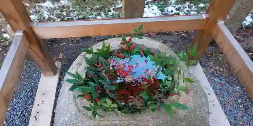 大井神社の手水舎