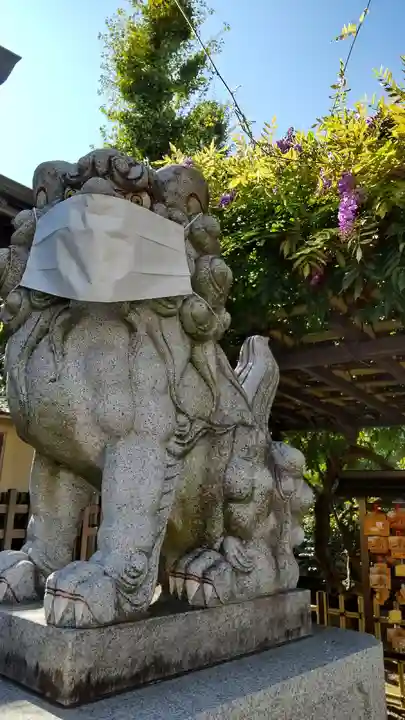 お三の宮日枝神社の狛犬