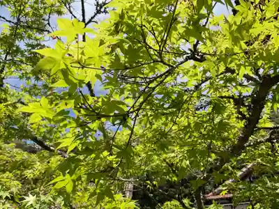 雲興寺(愛知県)
