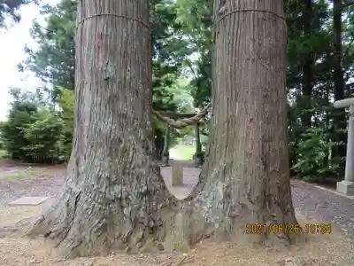 飯豊和気神社の自然