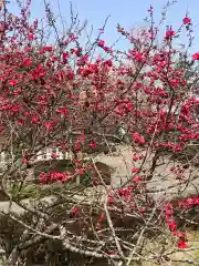 大生郷天満宮の自然