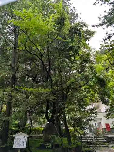 白山比咩神社の{uncategorized: "未分類", other: "その他", undefined: "問題あり", building: "その他建物", grave: "お墓", sacred_gate: "鳥居", guardian: "狛犬", statue: "像", buddha: "仏像", history: "歴史", nature: "自然", garden: "庭園", animal: "動物", pagoda: "塔", temizu: "手水舎", mountain_gate: "山門・神門", sanctuary: "本殿・本堂", subordinate: "末社・摂社", art: "芸術", scenery: "景色", jizo: "地蔵", ema: "絵馬", goshuin: "御朱印", omikuji: "おみくじ", items: "授与品その他", amulet: "お守り", goshuincho: "御朱印帳", eats: "食事", festival: "お祭り", votive_dance: "神楽", shichigosan: "七五三参", wedding: "結婚式", experience: "体験その他", initially: "初詣", around: "周辺", anti_infection: "感染症対策"}