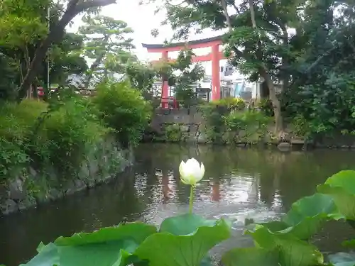 鶴岡八幡宮の庭園