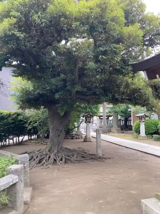 薭田神社(東京都)