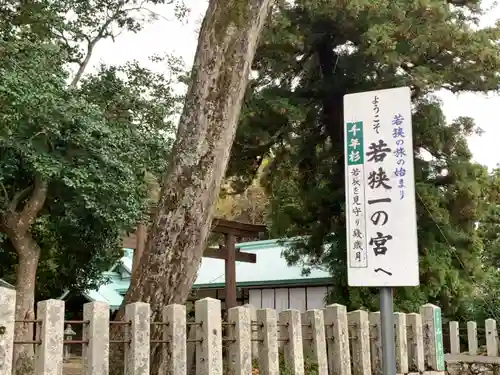 若狭彦神社（上社）の建物その他