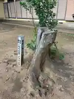 時平神社(大和田)(千葉県)