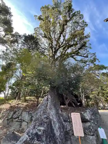 與止日女神社の自然