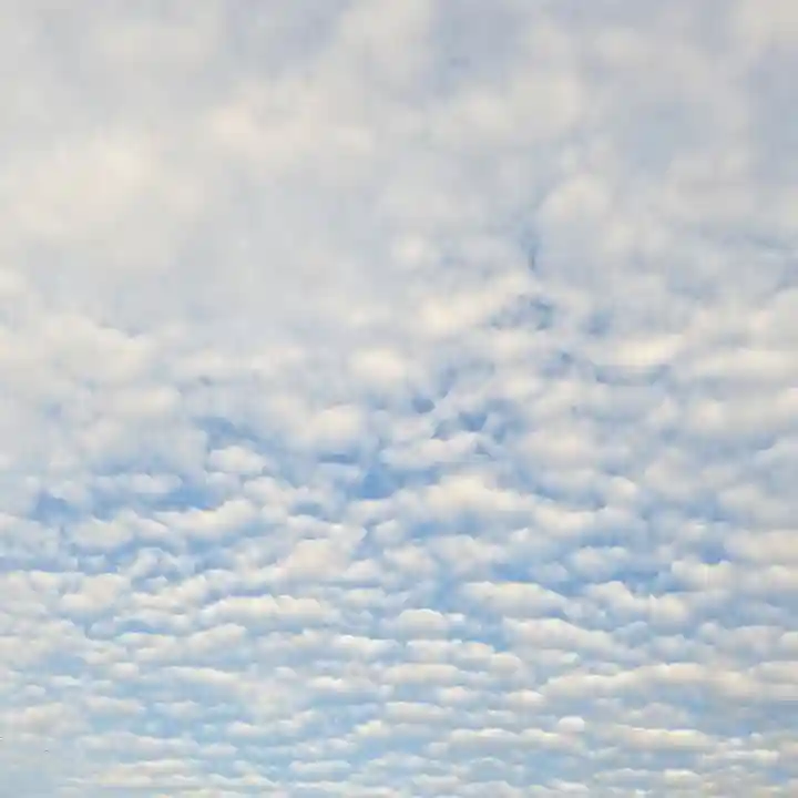 原稲荷神社の景色