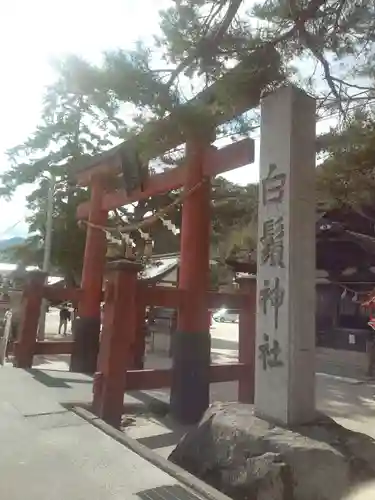 白鬚神社の鳥居