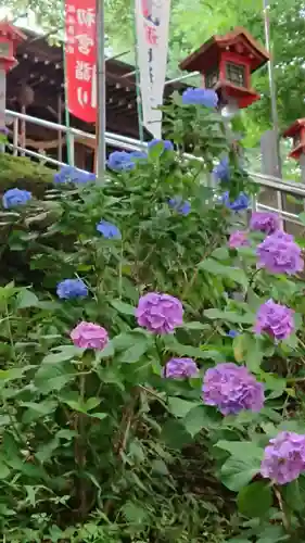 弥生神社の自然