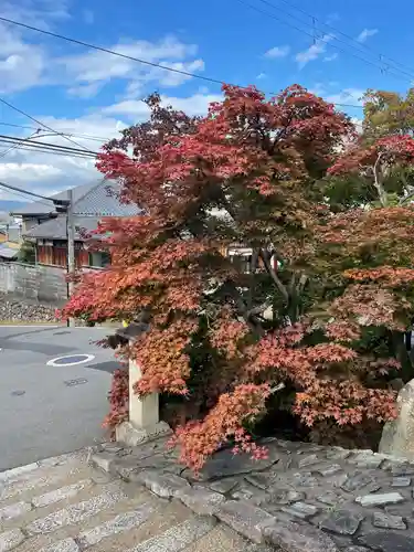 光明院（光明禅院）の自然