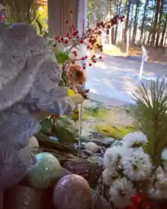 滑川神社 - 仕事と子どもの守り神の手水舎 2021年01月21日(木)〜(2021年01月21日(木) 10時30分47秒投稿)