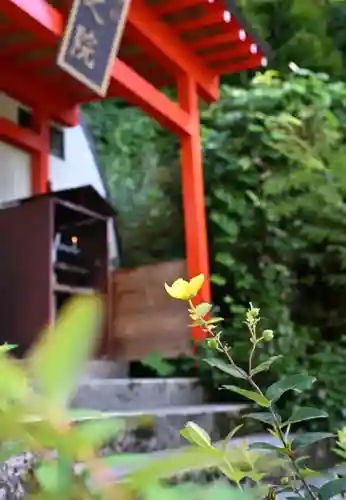 高龍神社(新潟県)