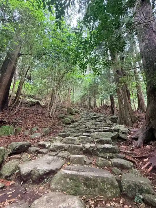 飛瀧神社(熊野那智大社別宮)の{uncategorized: "未分類", other: "その他", undefined: "問題あり", building: "その他建物", grave: "お墓", sacred_gate: "鳥居", guardian: "狛犬", statue: "像", buddha: "仏像", history: "歴史", nature: "自然", garden: "庭園", animal: "動物", pagoda: "塔", temizu: "手水舎", mountain_gate: "山門・神門", sanctuary: "本殿・本堂", subordinate: "末社・摂社", art: "芸術", scenery: "景色", jizo: "地蔵", ema: "絵馬", goshuin: "御朱印", omikuji: "おみくじ", items: "授与品その他", amulet: "お守り", goshuincho: "御朱印帳", eats: "食事", festival: "お祭り", votive_dance: "神楽", shichigosan: "七五三参", wedding: "結婚式", experience: "体験その他", initially: "初詣", around: "周辺", anti_infection: "感染症対策"}
