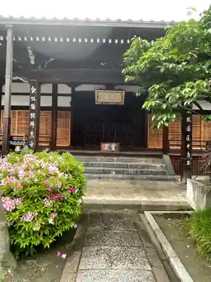 圓通寺の本殿・本堂