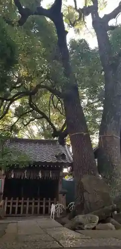 千住氷川神社(東京都)