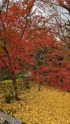 岩屋寺(京都府)