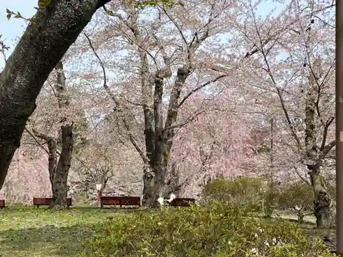 糠部神社の自然