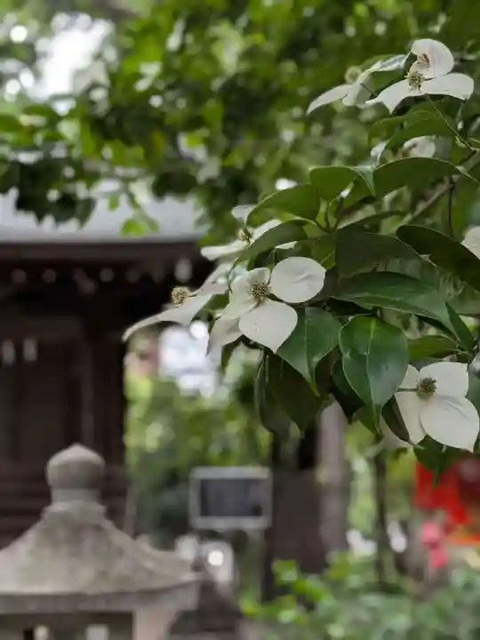 熊野神社(東京都)