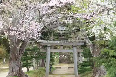 白幡八幡神社の鳥居