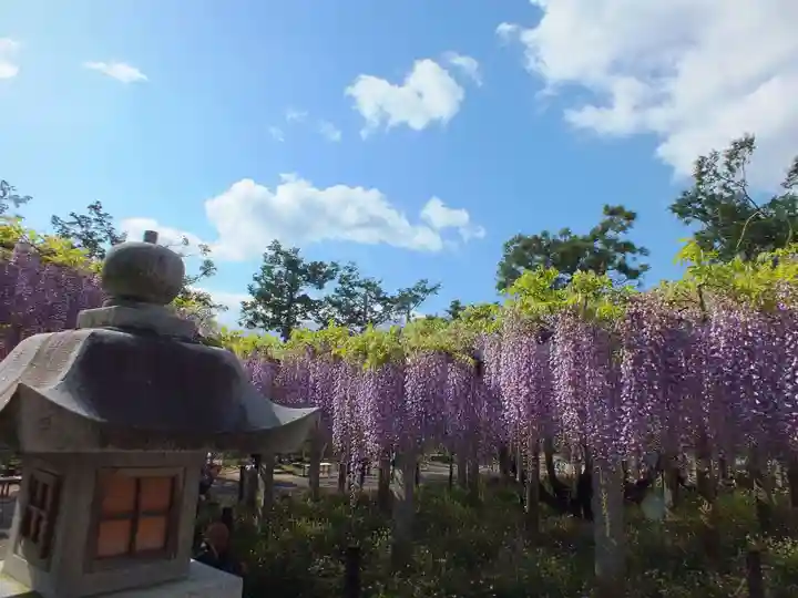 三大神社のその他建物