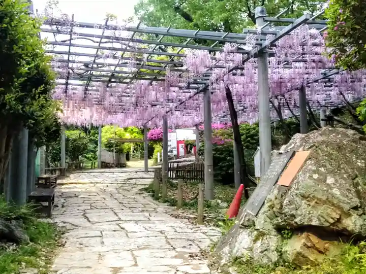 阿智神社(岡山県)