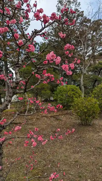 智積院(京都府)
