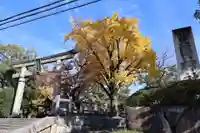 豊国神社(京都府)