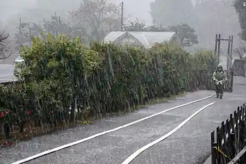 大安禅寺(福井県)