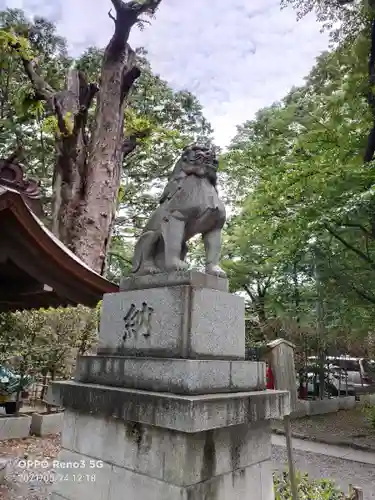 大國魂神社の狛犬