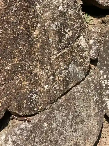 落合白山神社(東京都)