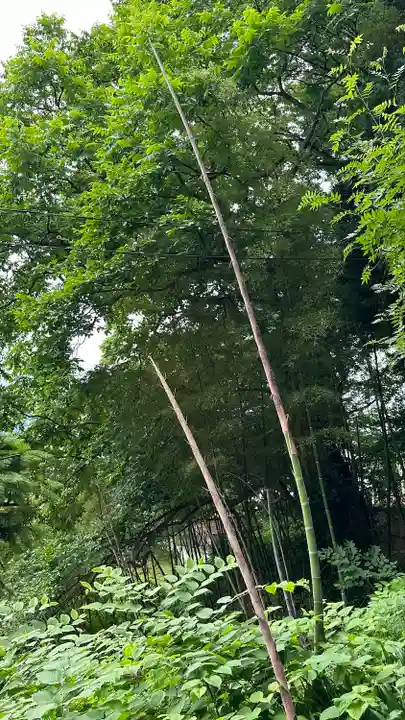 東正寺(山形県)