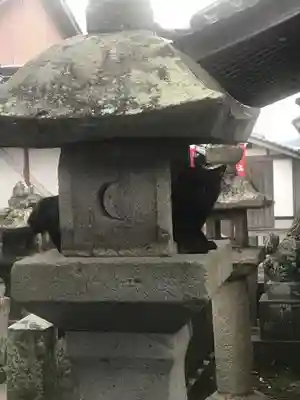 北野神社の動物