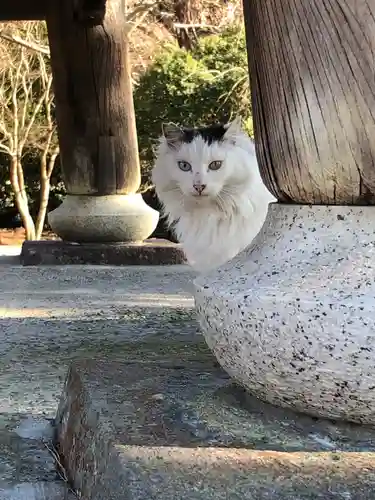 稱名寺の動物