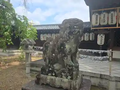 縣神社の狛犬