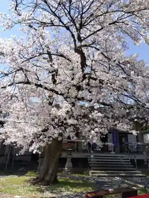 妙経寺(福井県)