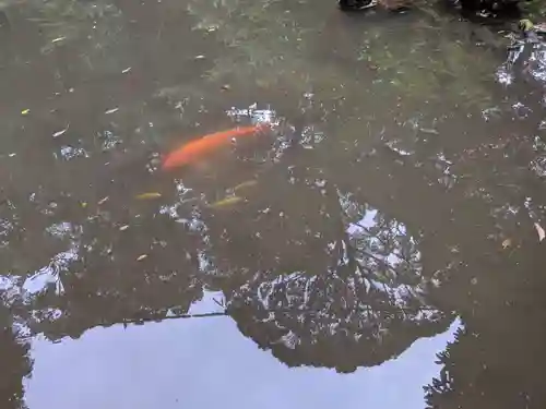 曽許乃御立神社の庭園