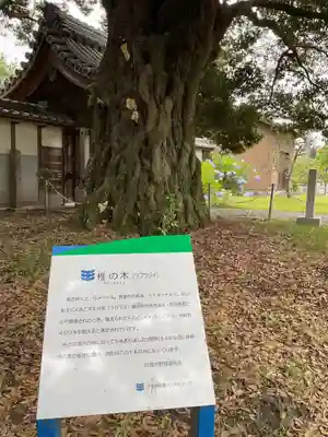 龍渕寺(愛知県)