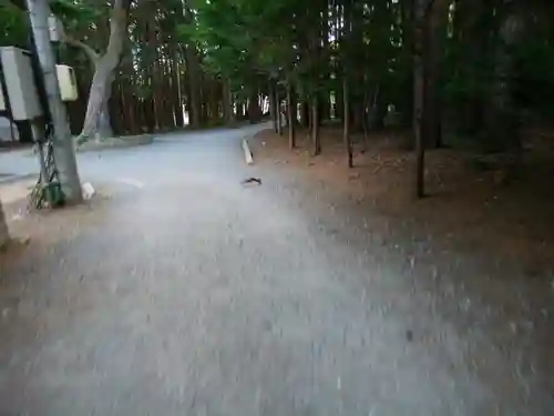 北海道神宮の動物