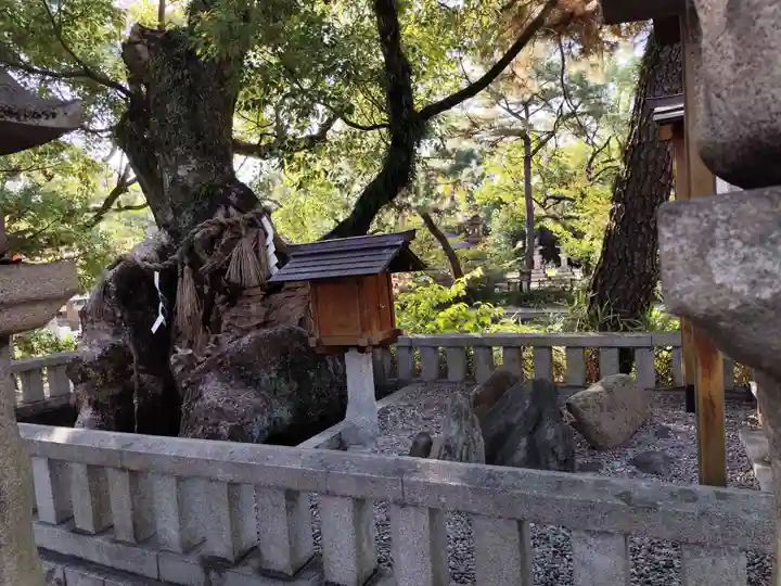 住吉大社(大阪府)