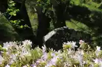 国宝 大法寺の自然