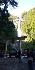 飛瀧神社（熊野那智大社別宮）の自然