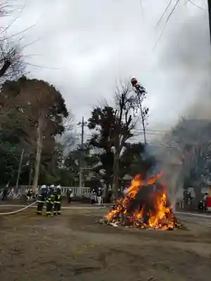 青柳稲荷神社のお祭り