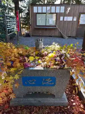 滑川神社 - 仕事と子どもの守り神の手水舎