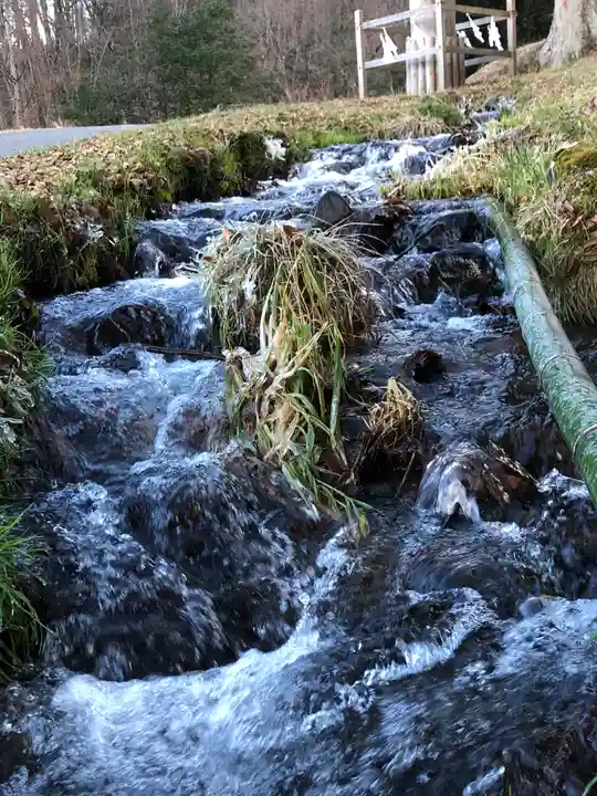 諏訪大社上社前宮の自然