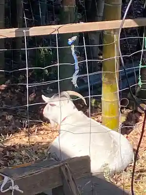 出雲大社相模分祠(神奈川県)